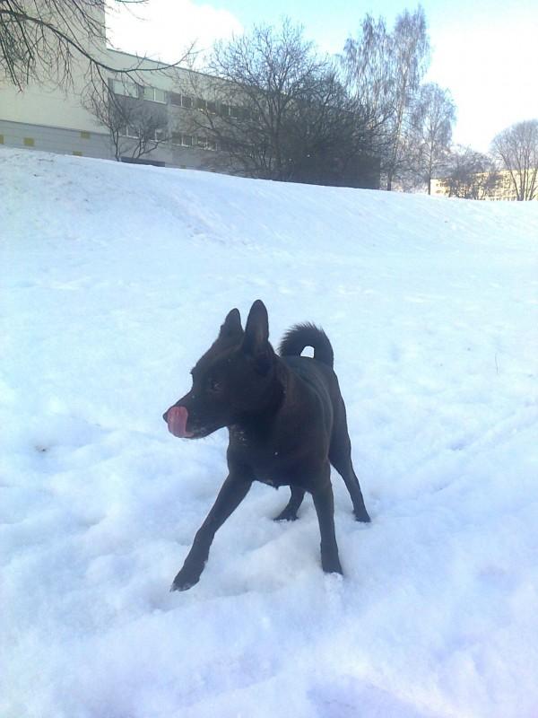 Alma uploaded   86  day/s  ago