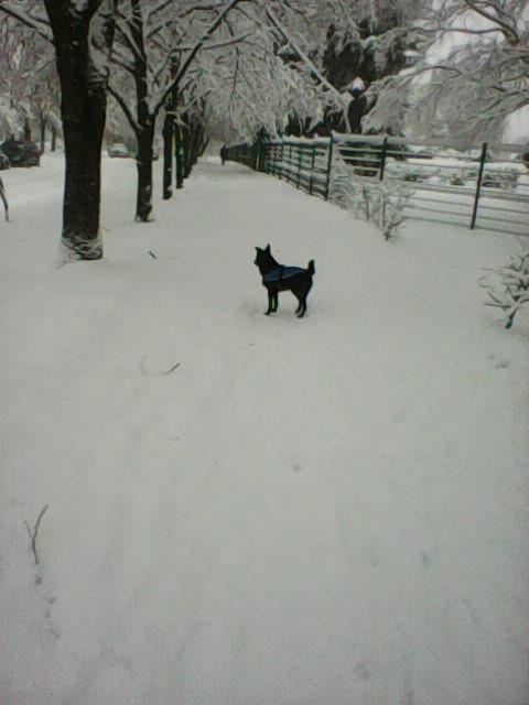 Alma uploaded   86  day/s  ago