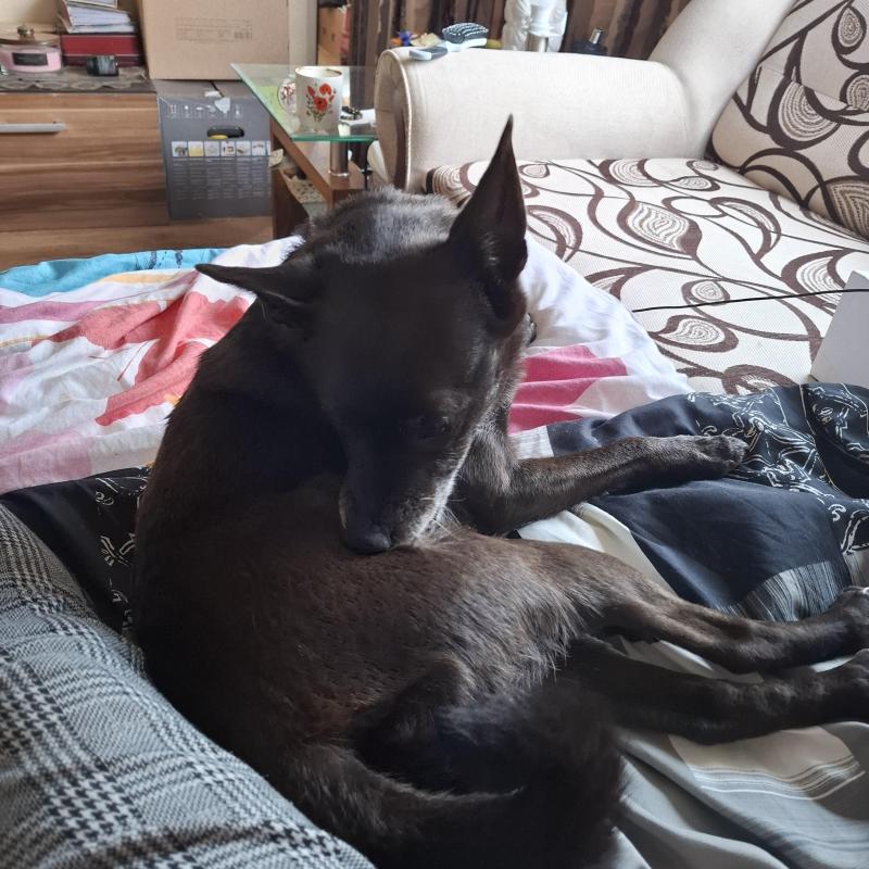 Alma uploaded   13  day/s  ago