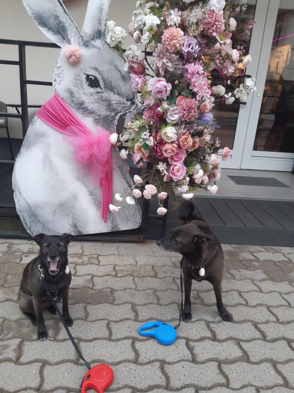 Alma uploaded   12  day/s  ago