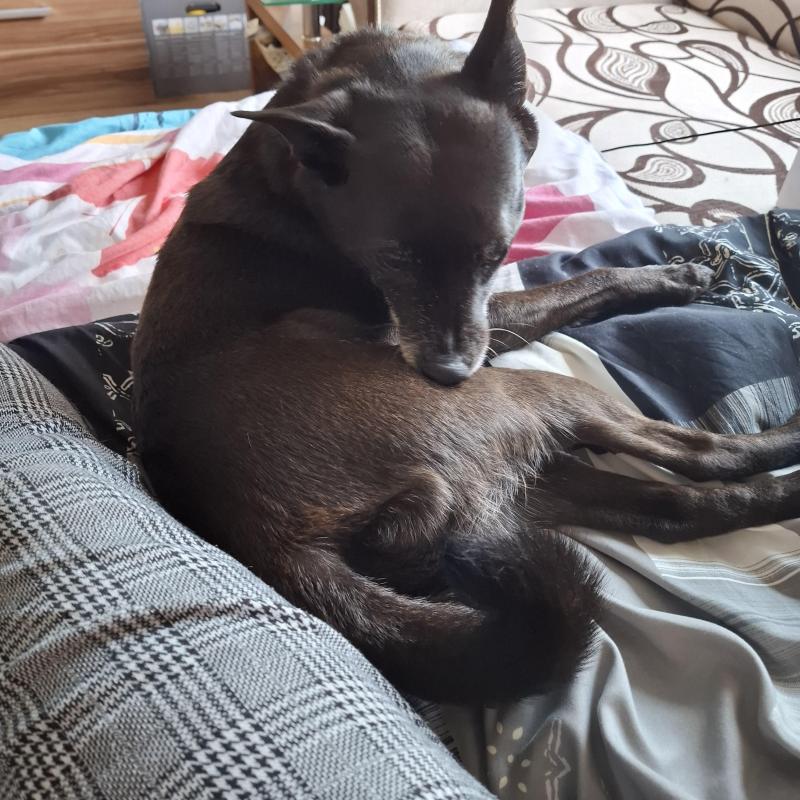 Alma uploaded   12  day/s  ago