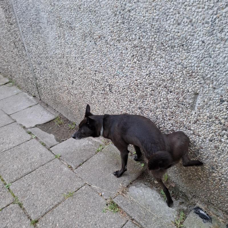 Alma uploaded   12  day/s  ago