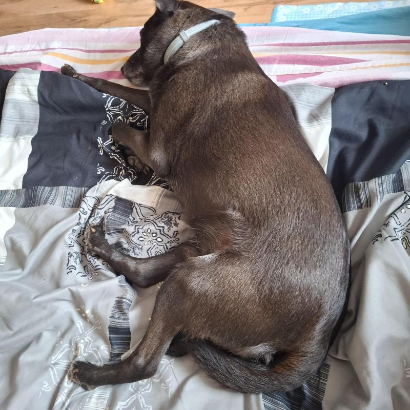 Alma uploaded   12  day/s  ago