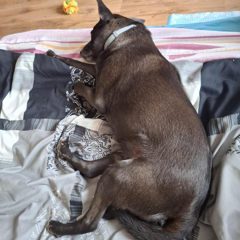 Alma uploaded   12  day/s  ago