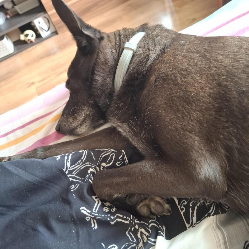 Alma uploaded   12  day/s  ago