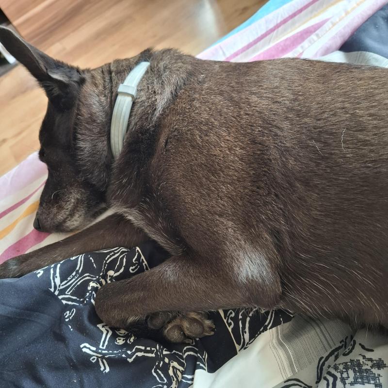 Alma uploaded   12  day/s  ago