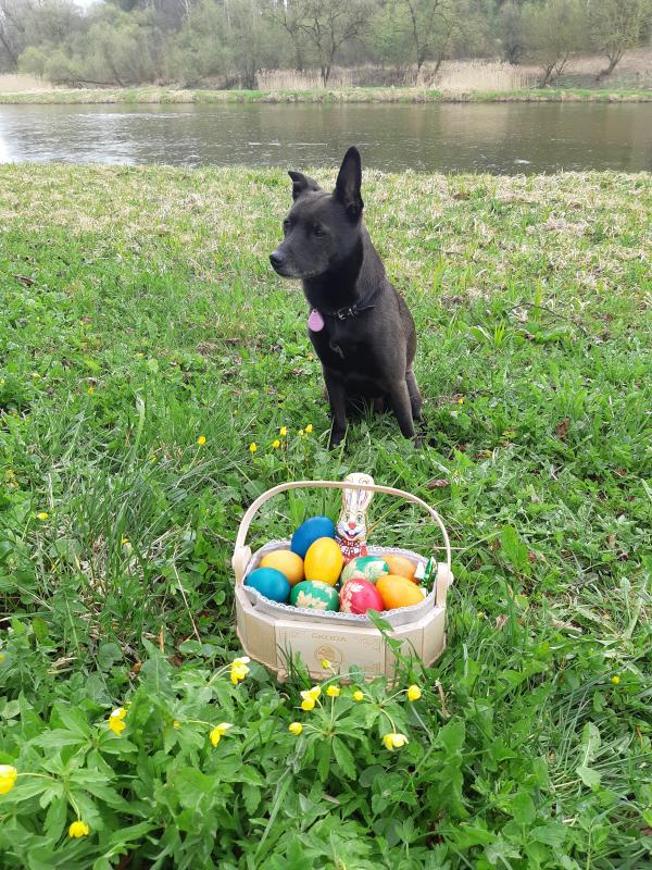 Alma uploaded   12  day/s  ago