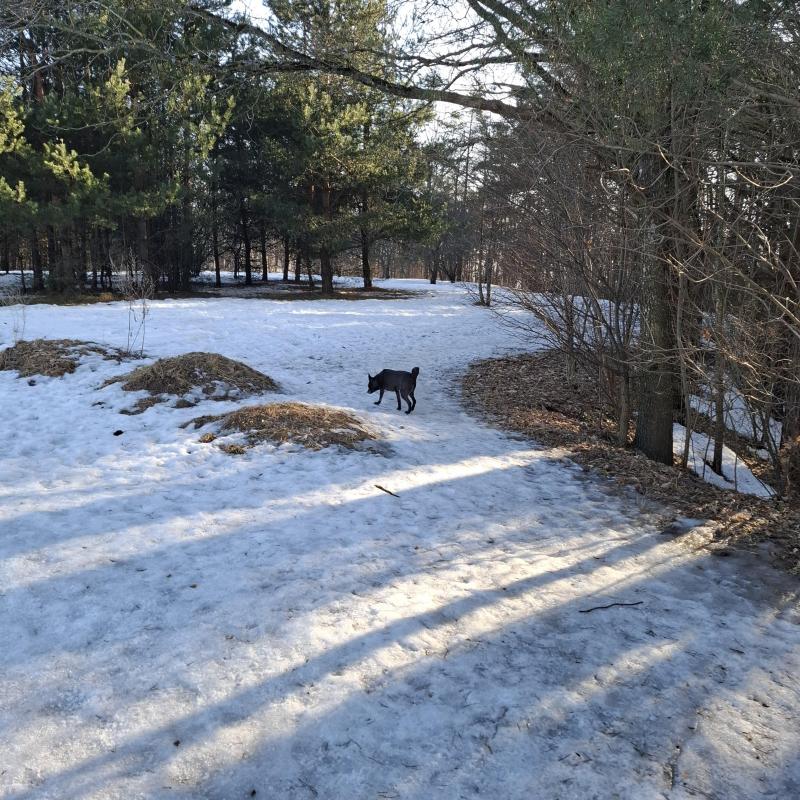 Alma uploaded   38  day/s  ago