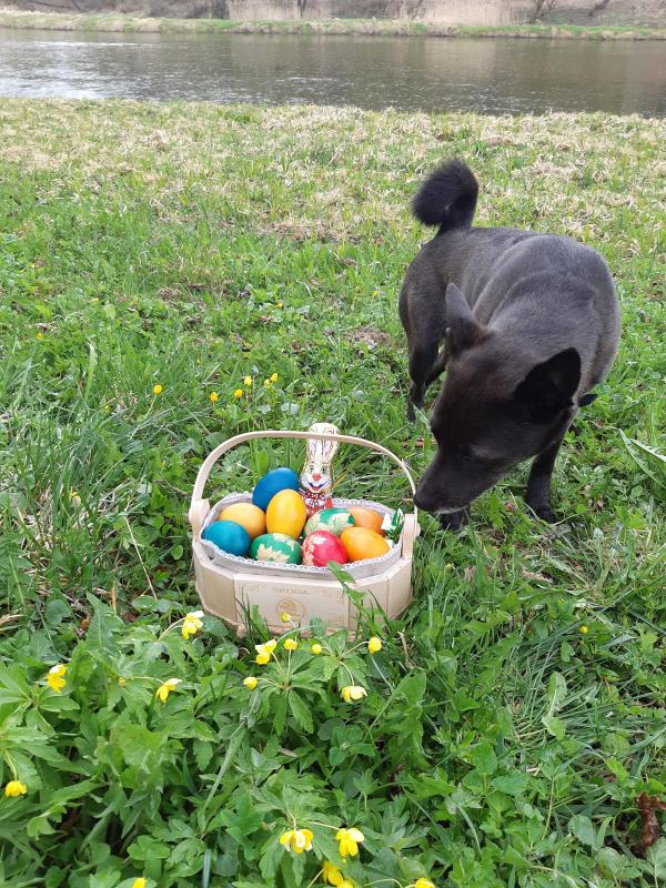 Alma uploaded   13  day/s  ago