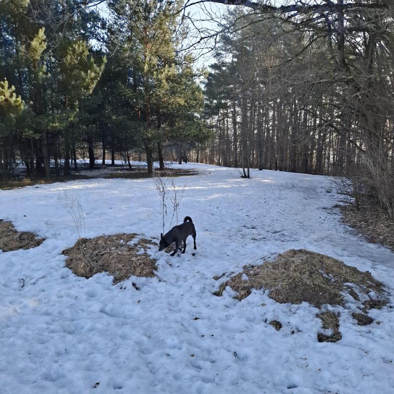 Alma uploaded   38  day/s  ago