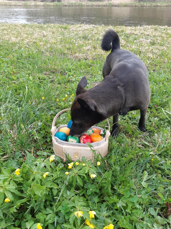 Alma uploaded   12  day/s  ago