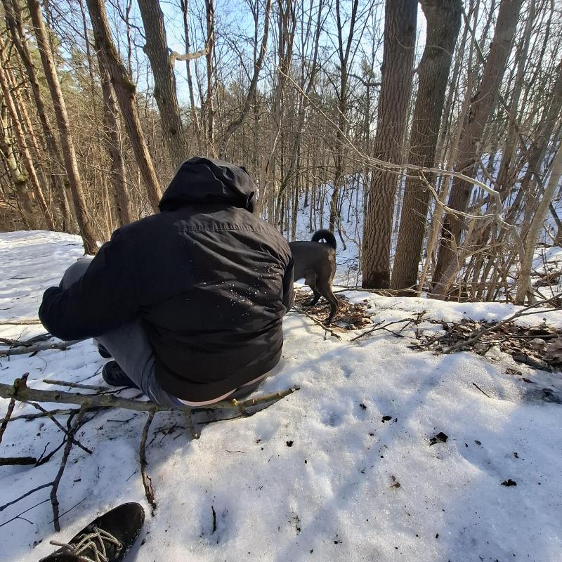 Armanis of the Alma family