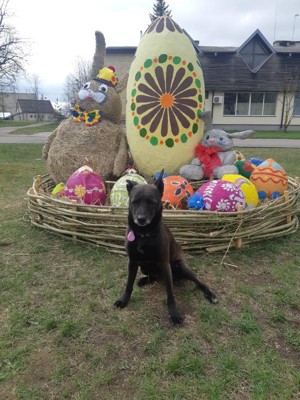 Alma uploaded   12  day/s  ago