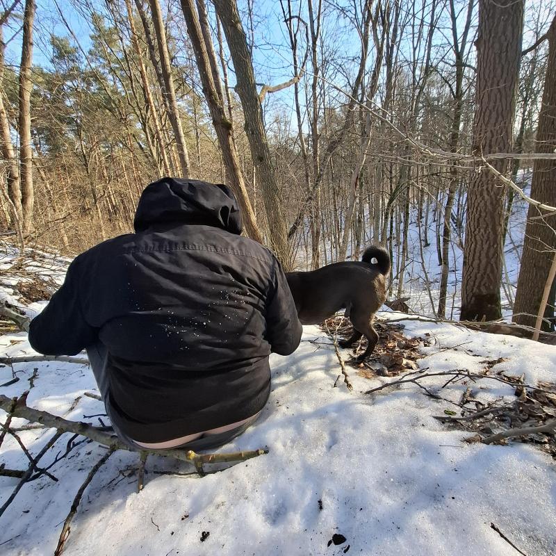 Armanis of the Alma family