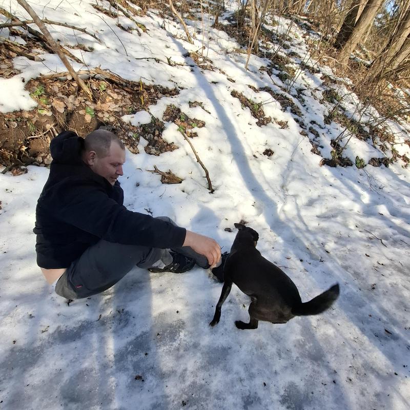 Armanis of the Alma family