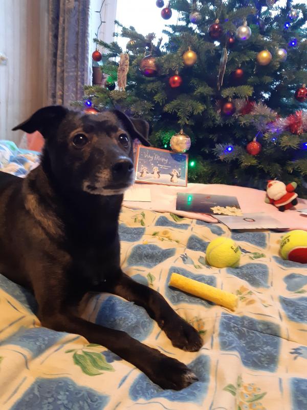 Alma uploaded   1 year/s ago