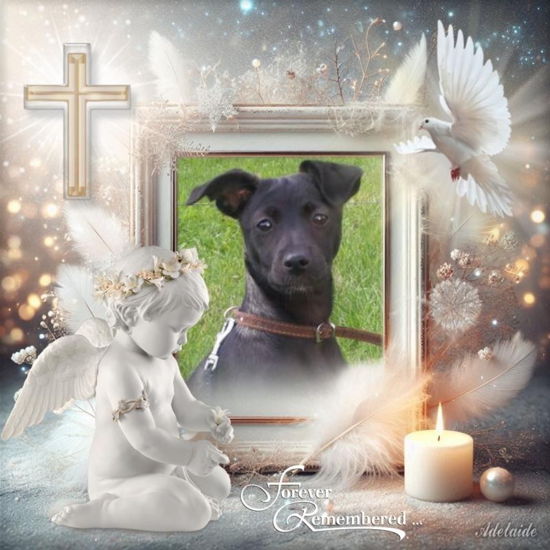 Daisy of the Alma family