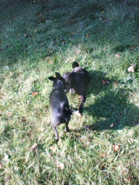 Alma uploaded   1 year/s ago