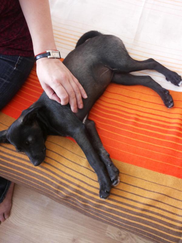 Alma uploaded   1 year/s ago