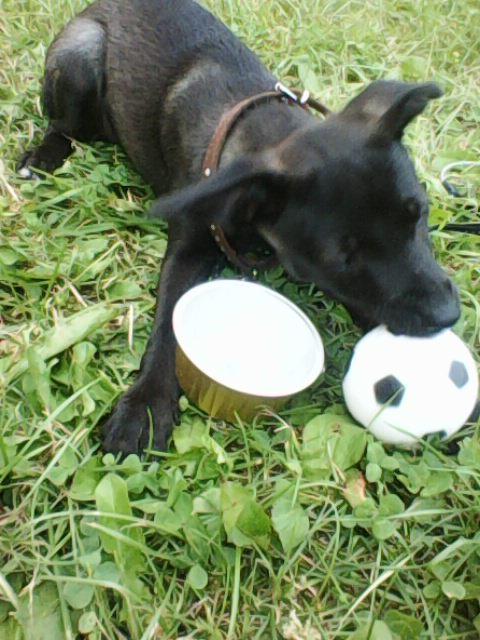 Alma uploaded   1 year/s ago