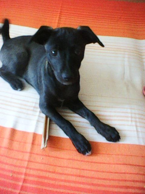 Alma uploaded   1 year/s ago