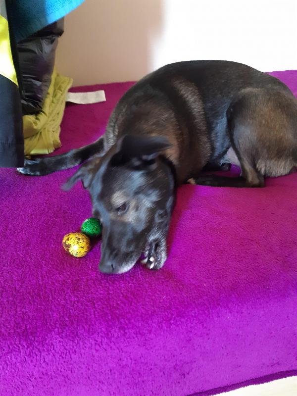 Alma uploaded   1 year/s ago