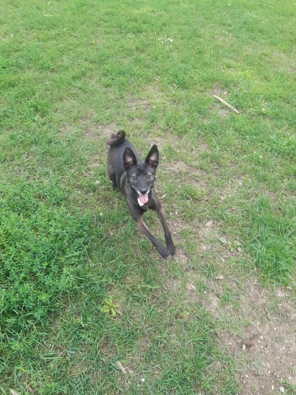 Alma uploaded   313  day/s  ago