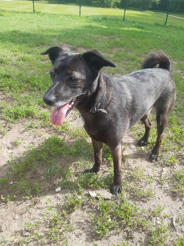 Alma uploaded   313  day/s  ago