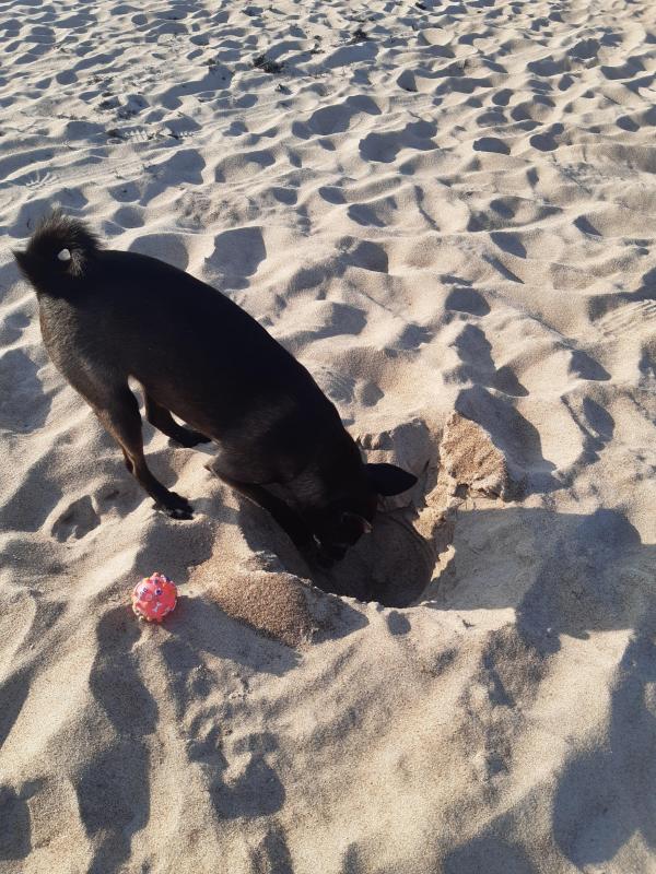 Alma uploaded   249  day/s  ago