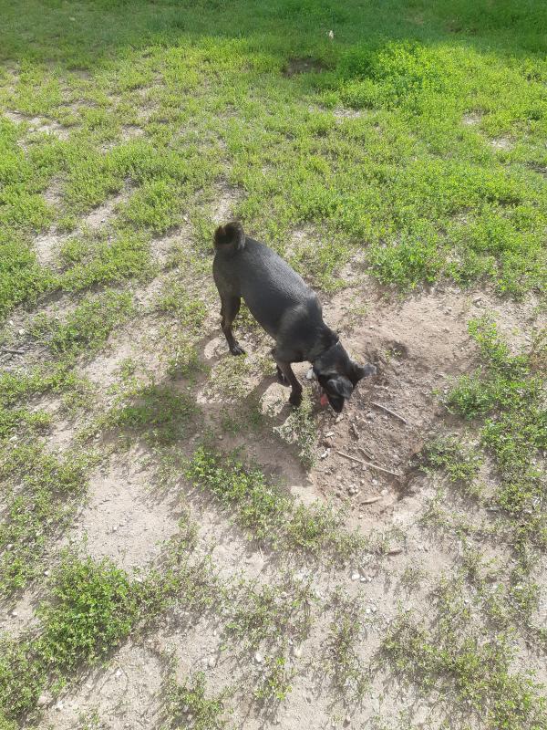 Alma uploaded   206  day/s  ago