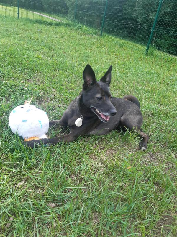 Alma uploaded   5  day/s  ago