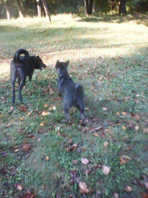 Alma uploaded   1 year/s ago