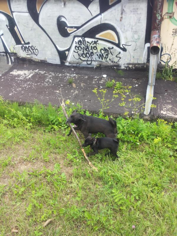 Alma uploaded   1 year/s ago