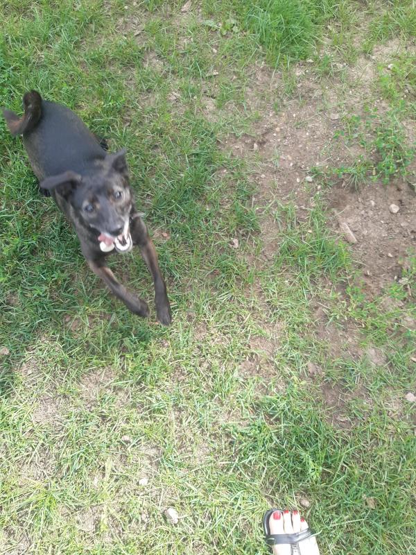 Alma uploaded   313  day/s  ago