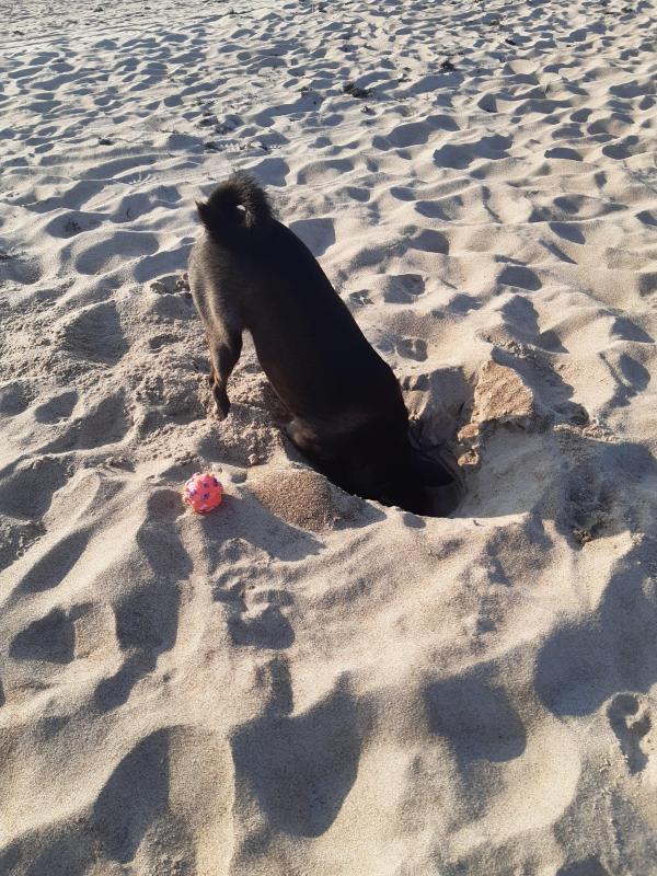 Alma uploaded   249  day/s  ago