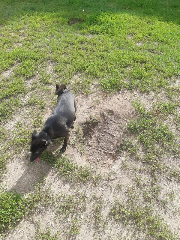 Alma uploaded   206  day/s  ago