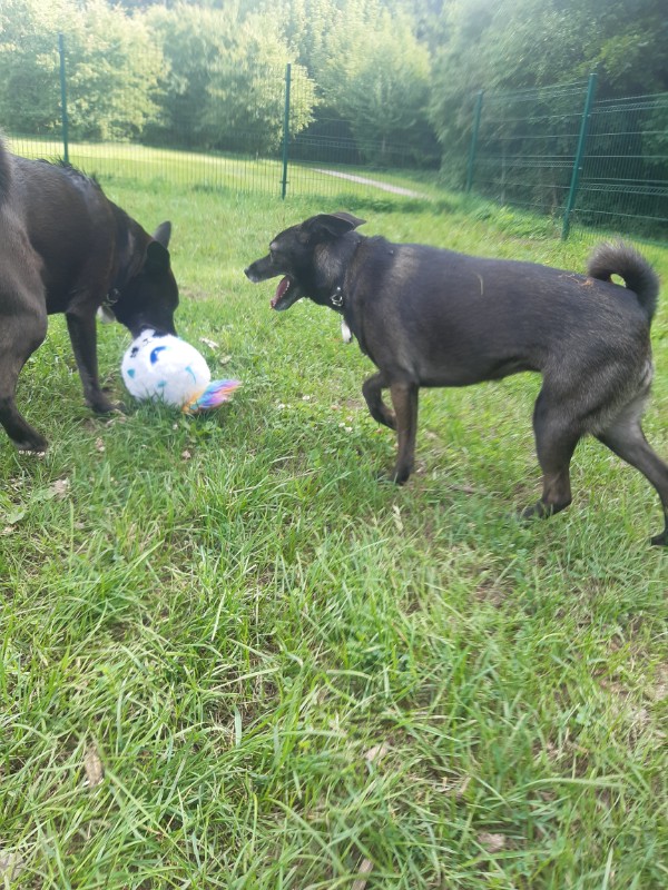 Alma uploaded   5  day/s  ago