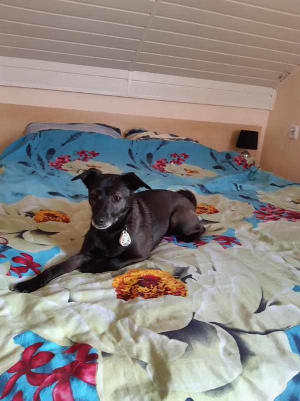 Alma uploaded   12  day/s  ago