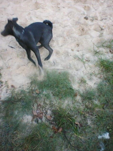 Alma uploaded   1 year/s ago