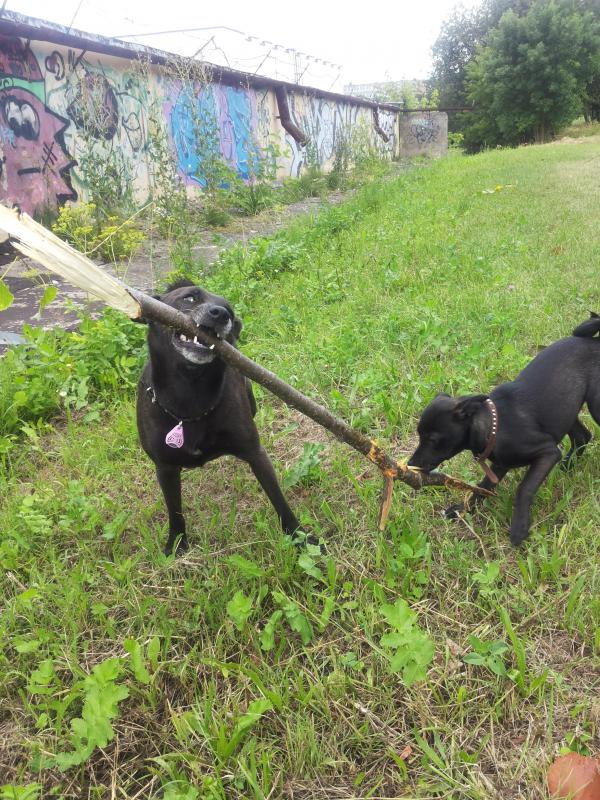 Alma uploaded   1 year/s ago