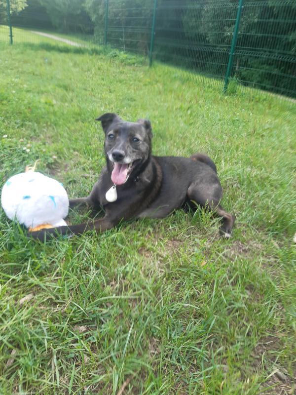 Alma uploaded   313  day/s  ago