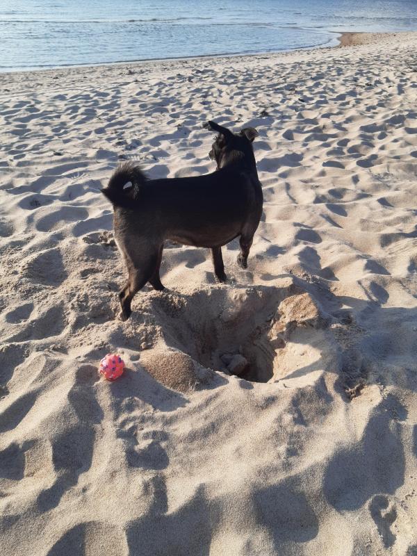 Alma uploaded   249  day/s  ago