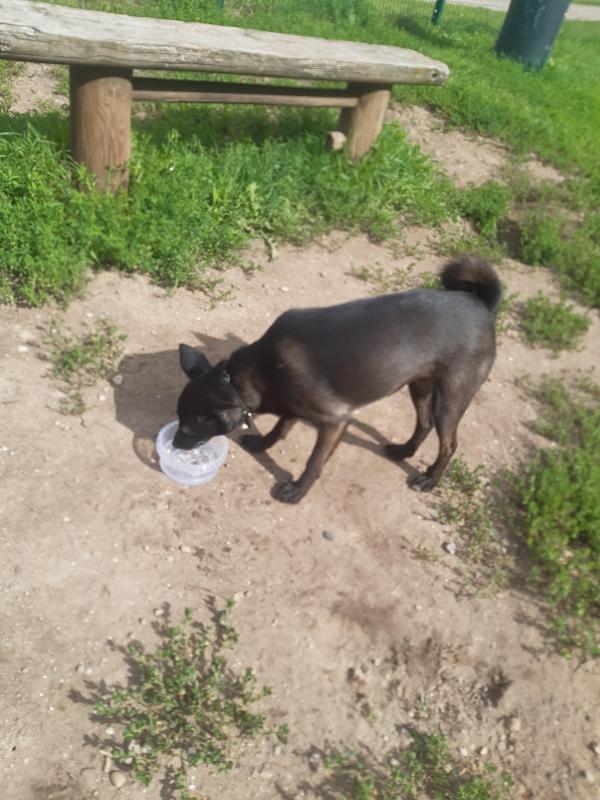 Alma uploaded   206  day/s  ago