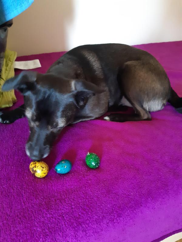 Alma uploaded   12  day/s  ago