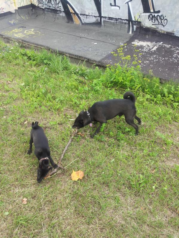 Alma uploaded   1 year/s ago