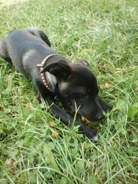 Alma uploaded   1 year/s ago