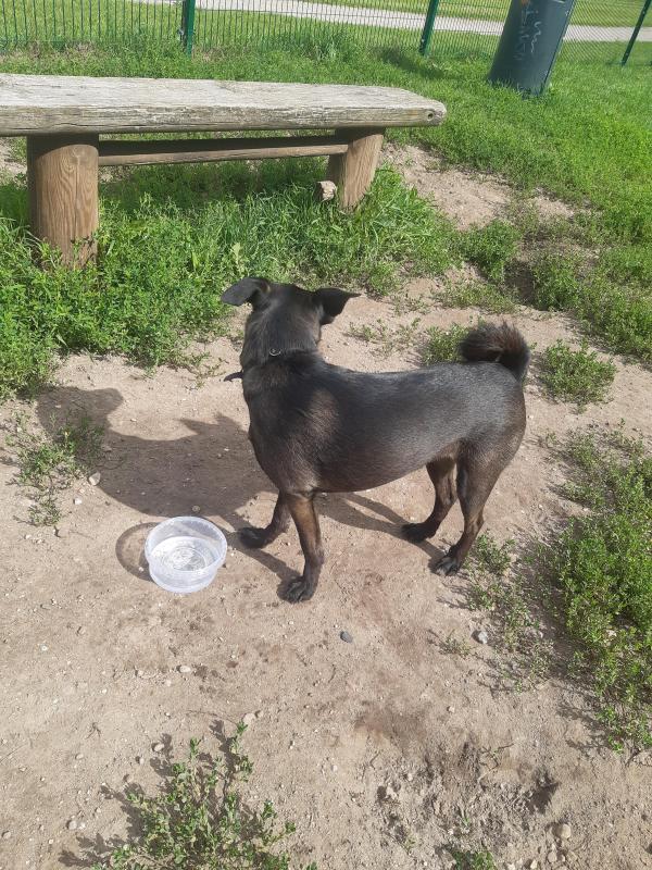 Alma uploaded   206  day/s  ago