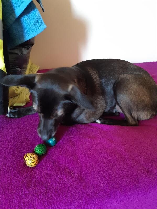 Alma uploaded   12  day/s  ago