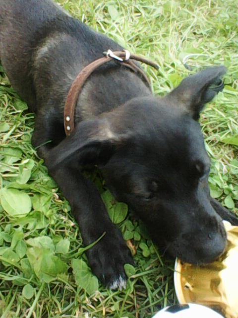 Alma uploaded   1 year/s ago