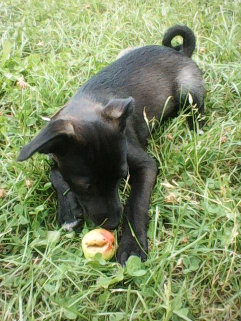 Alma uploaded   1 year/s ago